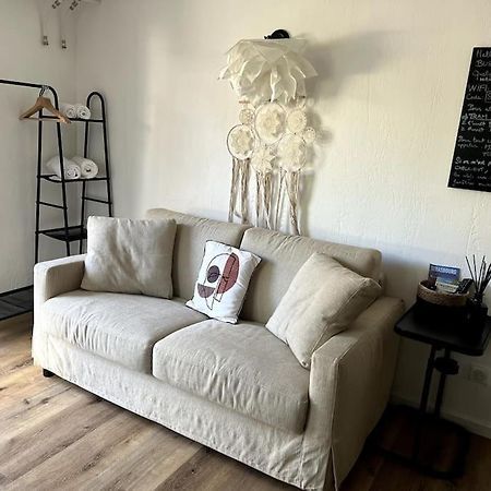 Studio Strasbourg Avec Jardin Extérieur photo