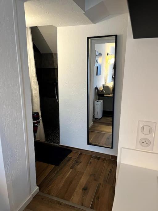 Studio Strasbourg Avec Jardin Extérieur photo