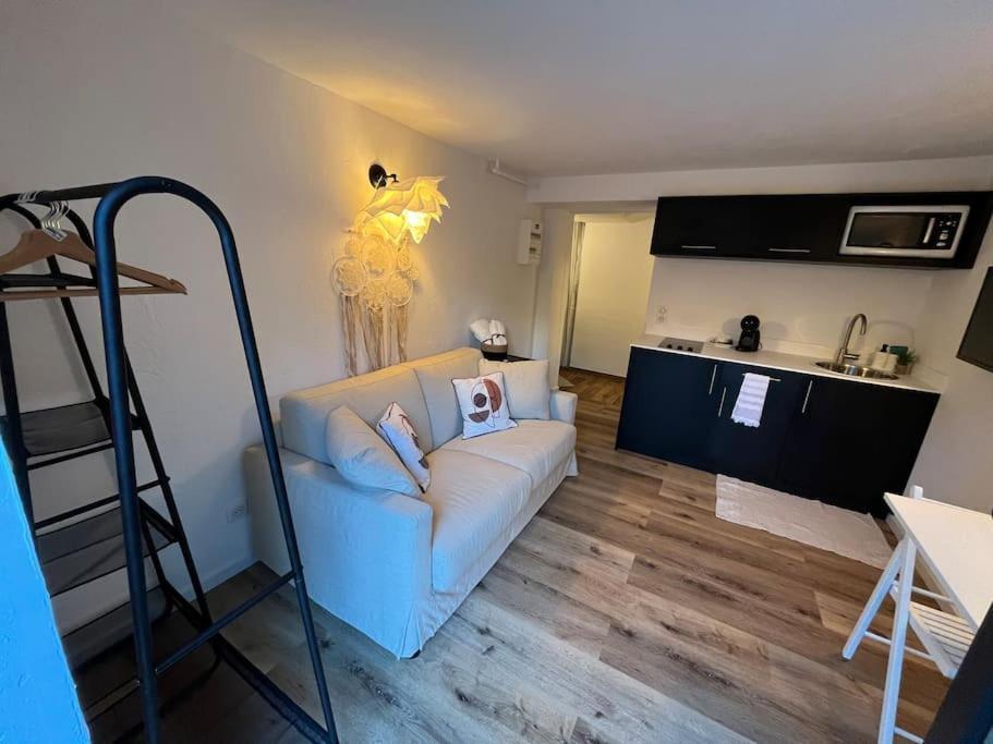 Studio Strasbourg Avec Jardin Extérieur photo