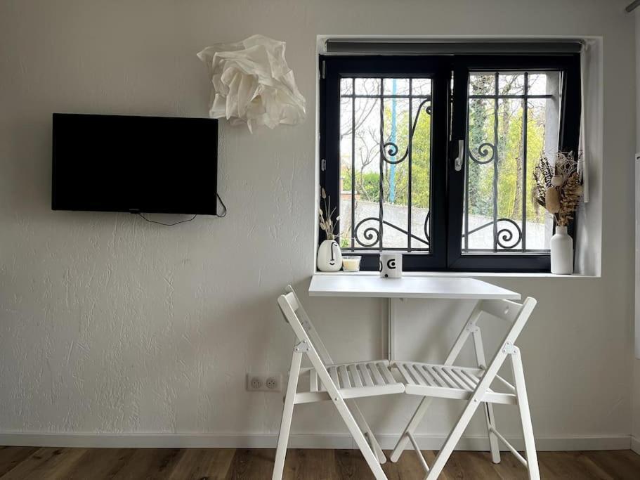 Studio Strasbourg Avec Jardin Extérieur photo